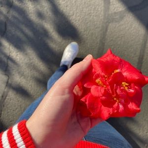 Meet your Posher, Kimberley